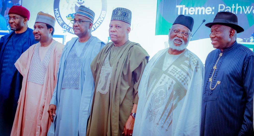Abdulsalami, Jonathan counsel Reps as House engages stakeholders